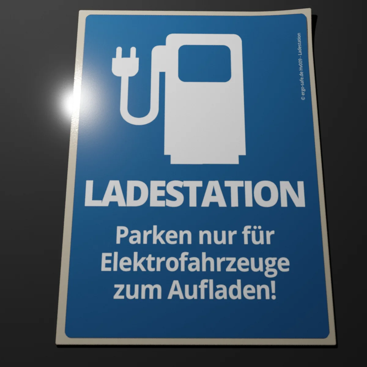Aufkleber Ladestation Parkplatz nur für Elektrofahrzeuge